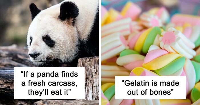 43 Of The Most Disturbing Real-Life Facts People Have Shared In This Viral Thread