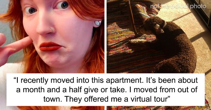 Woman Settles In The New Apartment, Discovers That Her Flat's Carpet Is Damp And Stinky, Property Management Chooses To Ignore It