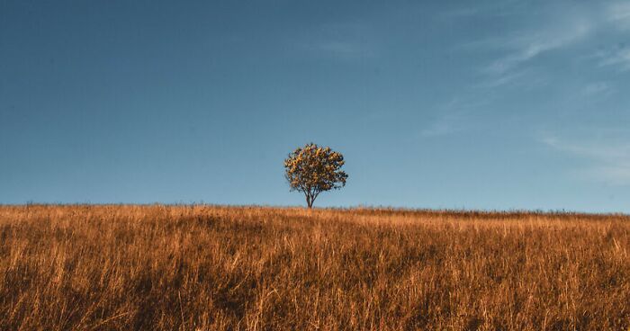 19 Breathtaking Images Of The Ukrainian Carpathians That I Took