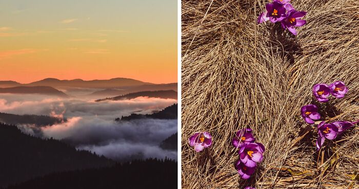 Here Are My 19 Images Of The Breathtaking Ukrainian Carpathians That Stand As A Symbol Of The Country’s Unbreakable Spirit