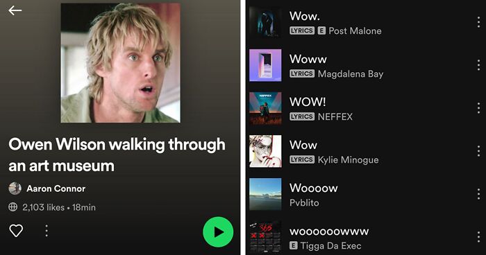 40 Times Witty Folks Created Funny And Weird Spotify Playlists, As Shared By This Online Group