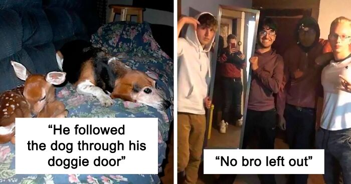 This Facebook Group Shares Wholesome Memes, And These 97 Are Just Too Pure