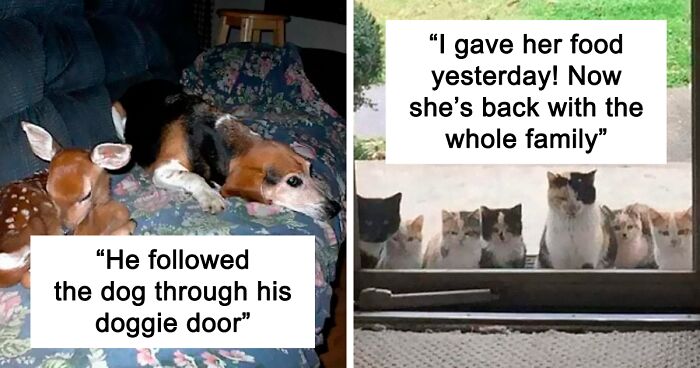 97 Feel-Good Memes To Brighten Your Day, Shared By This Facebook Group