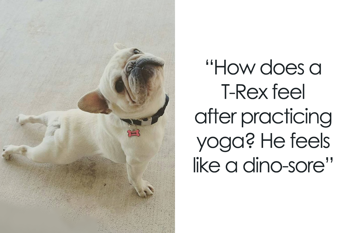 Down dog! Get it?! Yoga pose?! 😂⬇️🐕 #wisewordsfromneve #yoga #downdo... |  Wise | TikTok