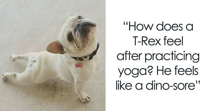 Funny Yoga Jokes And Puns That Will Have You Rolling On The Yoga Mat Laughing