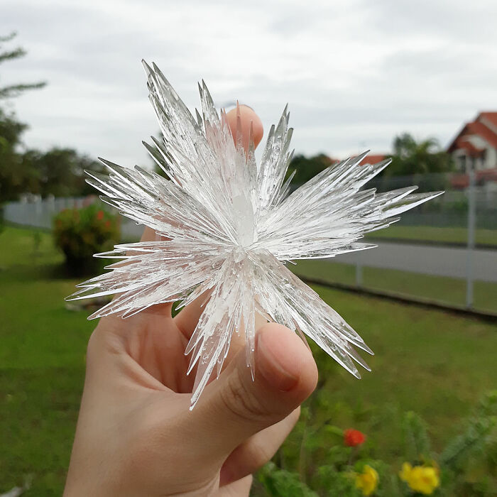 I’m Obsessed With Growing Crystals At Home. Here Are 11 Of The Most Beautiful Crystals I Managed To Grow