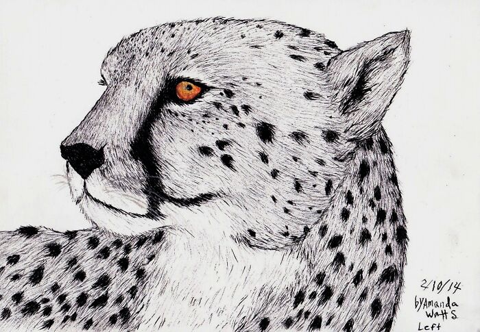 cheetah hello kitty drawings