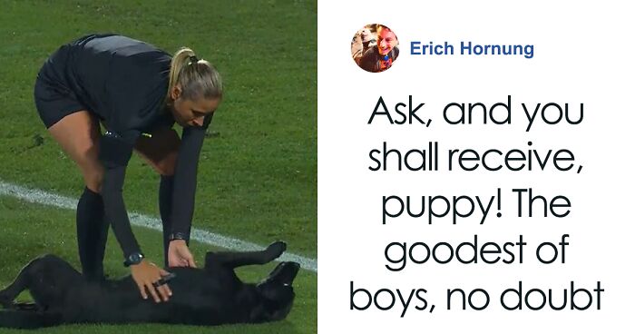 Dog-Interrupts-Football-Match-For-Belly-Rubs