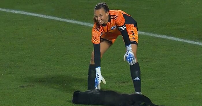 People Online Are Loving This Black Labrador Demanding Belly Rubs From Players In The Middle Of An International Soccer Match