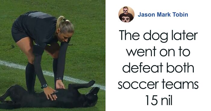 Dog-Interrupts-Football-Match-For-Belly-Rubs