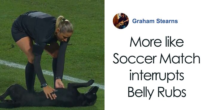 Dog-Interrupts-Football-Match-For-Belly-Rubs