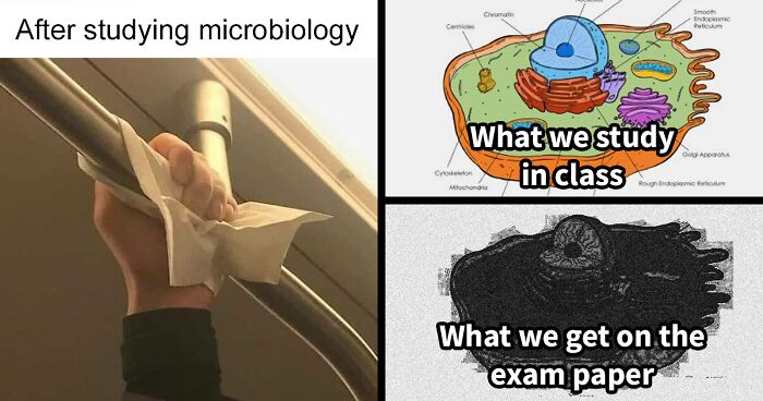 98 Memes And Jokes About Everything Science, As Shared By This Facebook Page