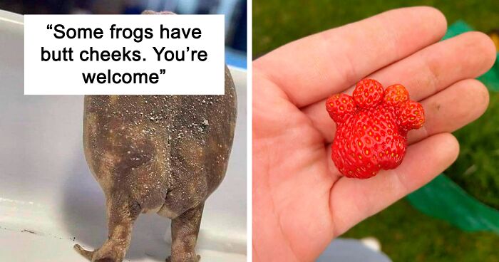 Facebook Group Shares 100 Wholesome Pics That Might Make Your Day