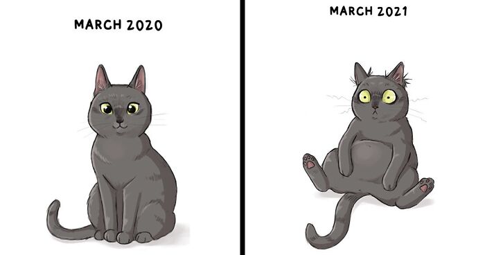 Artist Shows What It’s Like To Have A Cat In These 58 Illustrations (New Pics)