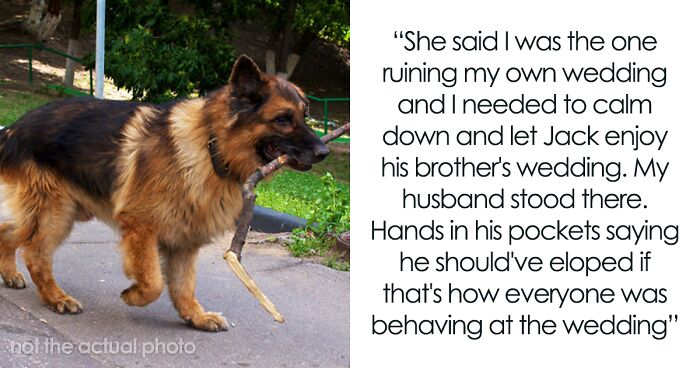 21 Y.O. Man Is Asked Not To Bring His Misbehaving German Shepherd To SIL’s Wedding, Does So Anyway, Gets Kicked Out