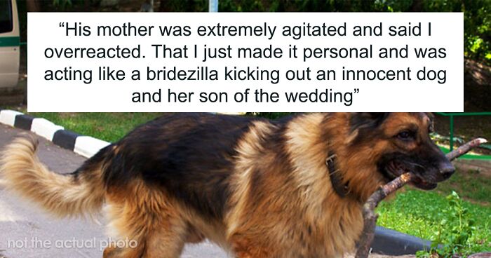 “AITA For Kicking My Brother-In-Law Out Of My Wedding When He Brought His Dog With Him?”