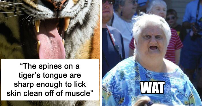 People Share 77 Obscure Animal Facts That Prove Nature Is Weird