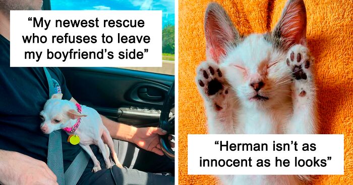 97 Pet Parents Who Were Blessed With Taking Home These Adorable Critters This June