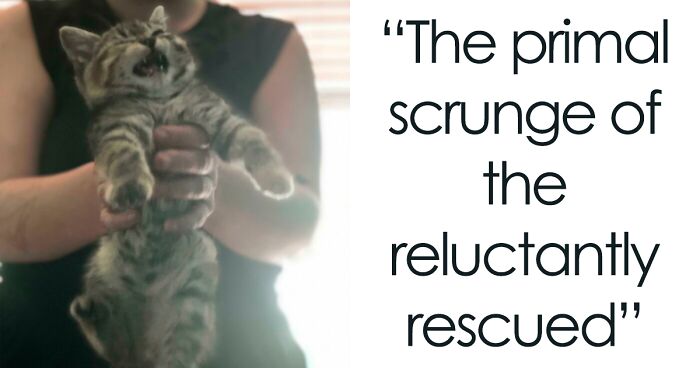 97 Uplifting Photos Of Rescue Pets That Got A Second Chance At Life (June Edition)