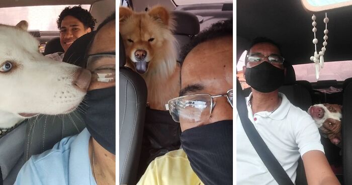 This Guy Works As A Taxi Driver For Animals And Takes Selfies With His Passengers (40 Pics)