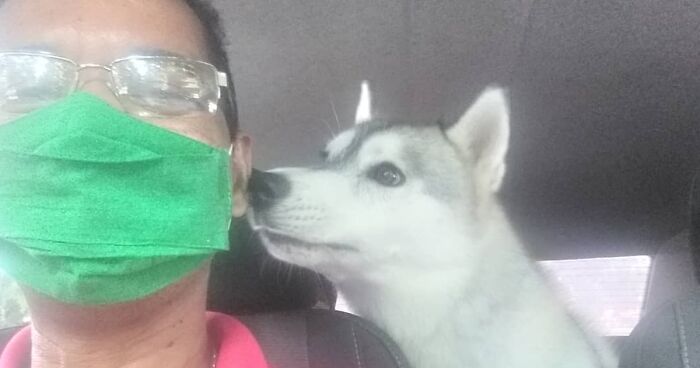 40 Selfies This Guy Has Taken With The Passengers Of His “Pet Taxi” Business