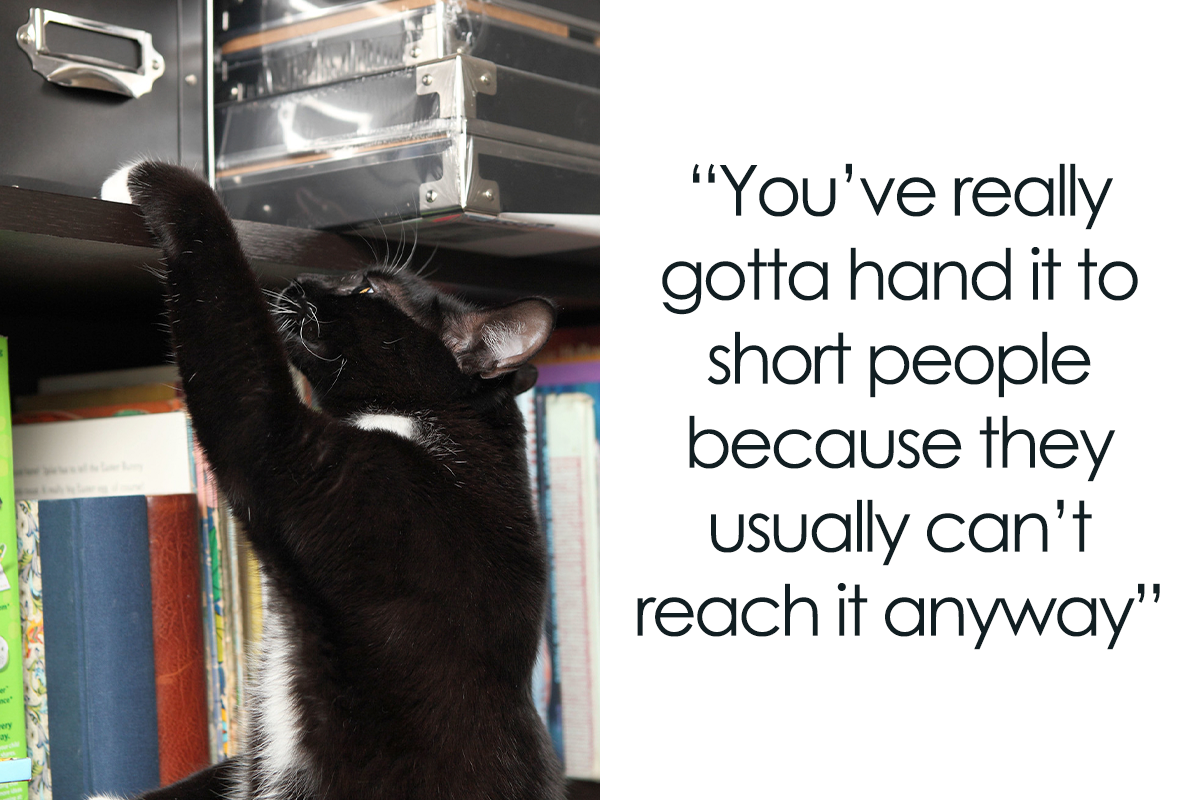 30 Short People Jokes That Might Just Give You The Giggles Bored Panda 