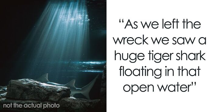 30 ‘Horror Stories’ From Sailors, Scuba Divers, And Surfers Who Have Seen Things In The Ocean They Wish They Could Forget