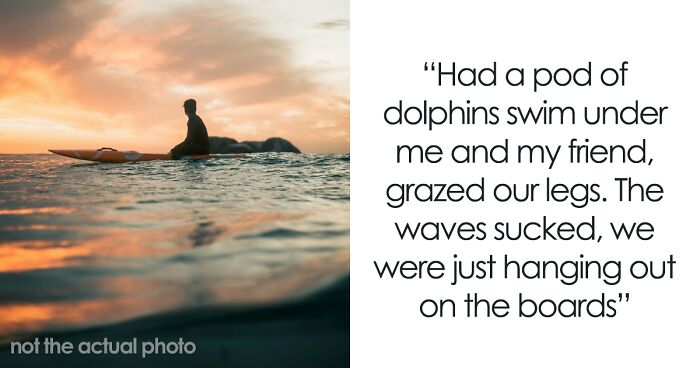 30 ‘Horror Stories’ From Sailors, Scuba Divers, And Surfers Who Have Seen Things In The Ocean They Wish They Could Forget