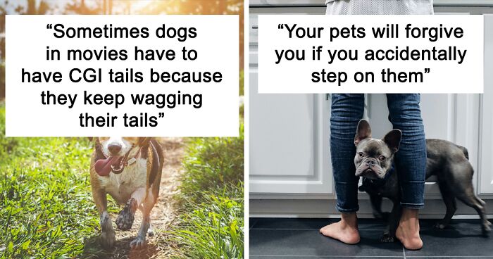 People Share 95 Comforting Facts To Remember When Stressed