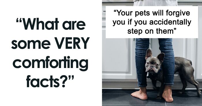 People Are Comforting Each Other With Uplifting Facts, And Here Are 95 Of The Best Ones