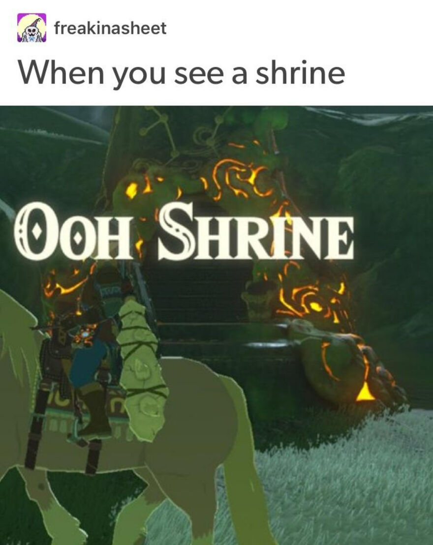 28 Breath Of The Wild Memes I Found On Google