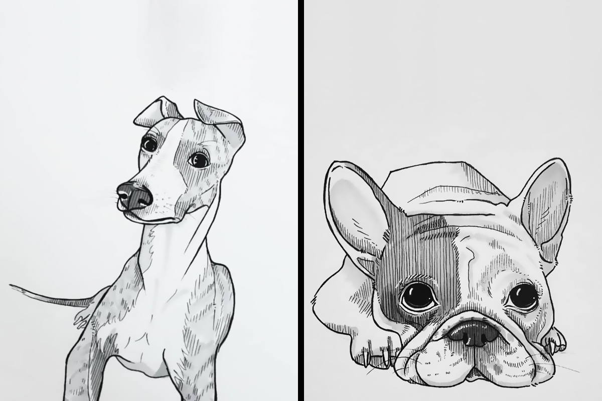 Pencil Drawings of Dog and Puppies from Your Photos for Sale