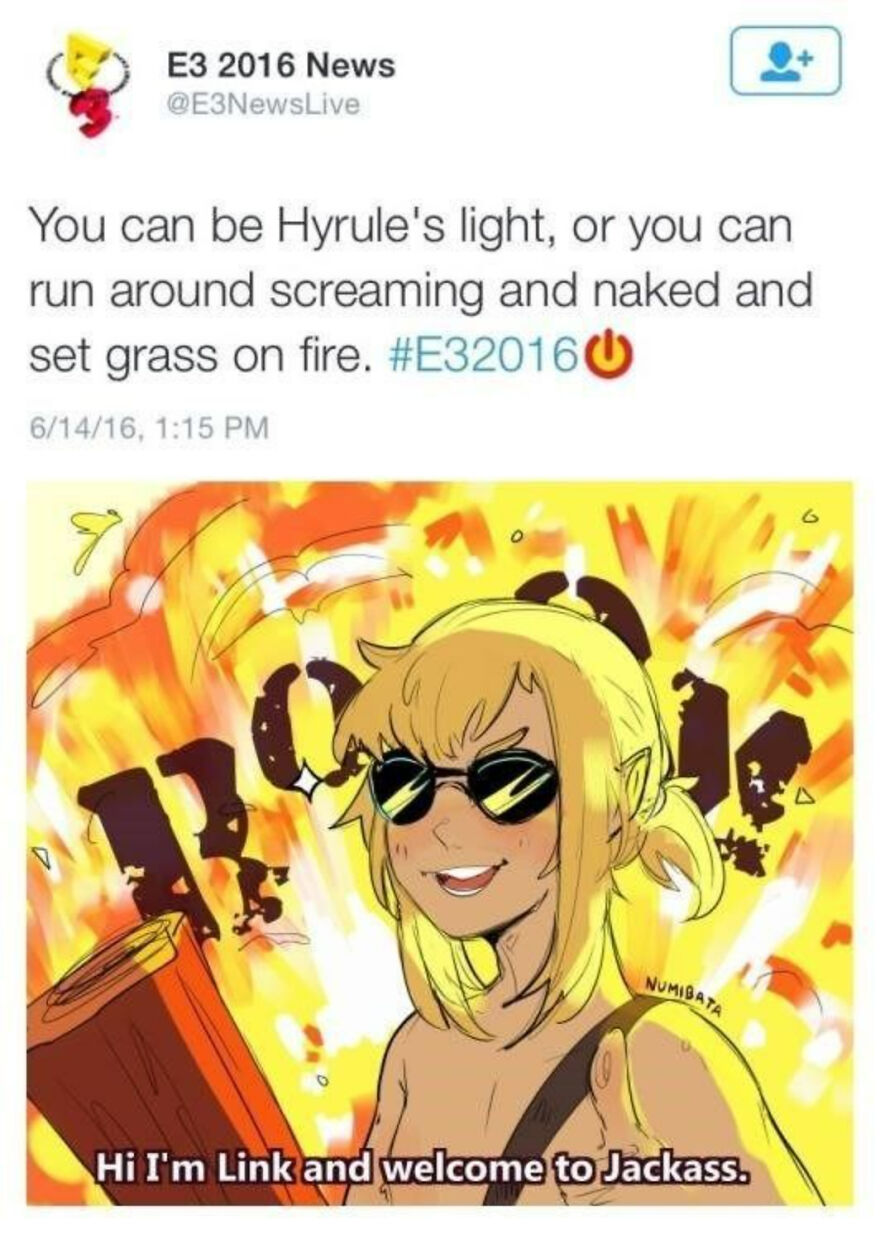 28 Breath Of The Wild Memes I Found On Google