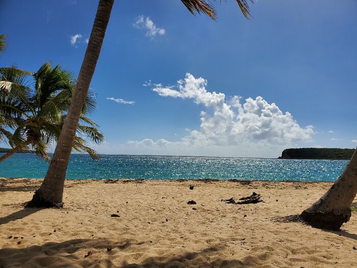 Sun Bay, Vieques, Puerto Rico.