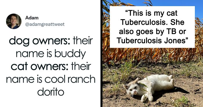 Twitter Users Are Sharing Weird, Wacky And Unusual Cat Names (40 Names)