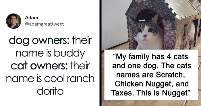 40 Of The Most Bonkers Pet Names, As Shared By Their Owners In This Now-Viral Twitter Thread