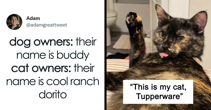 40 Of The Most Bonkers Pet Names, As Shared By Their Owners In This Now-Viral Twitter Thread