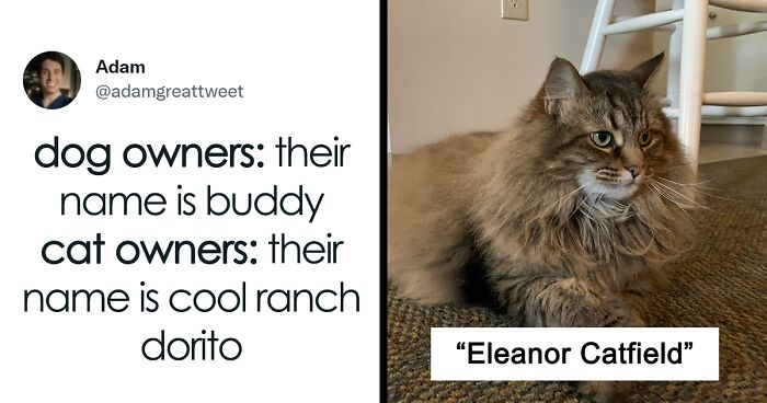 40 Of The Most Bonkers Pet Names, As Shared By Their Owners In This Now-Viral Twitter Thread