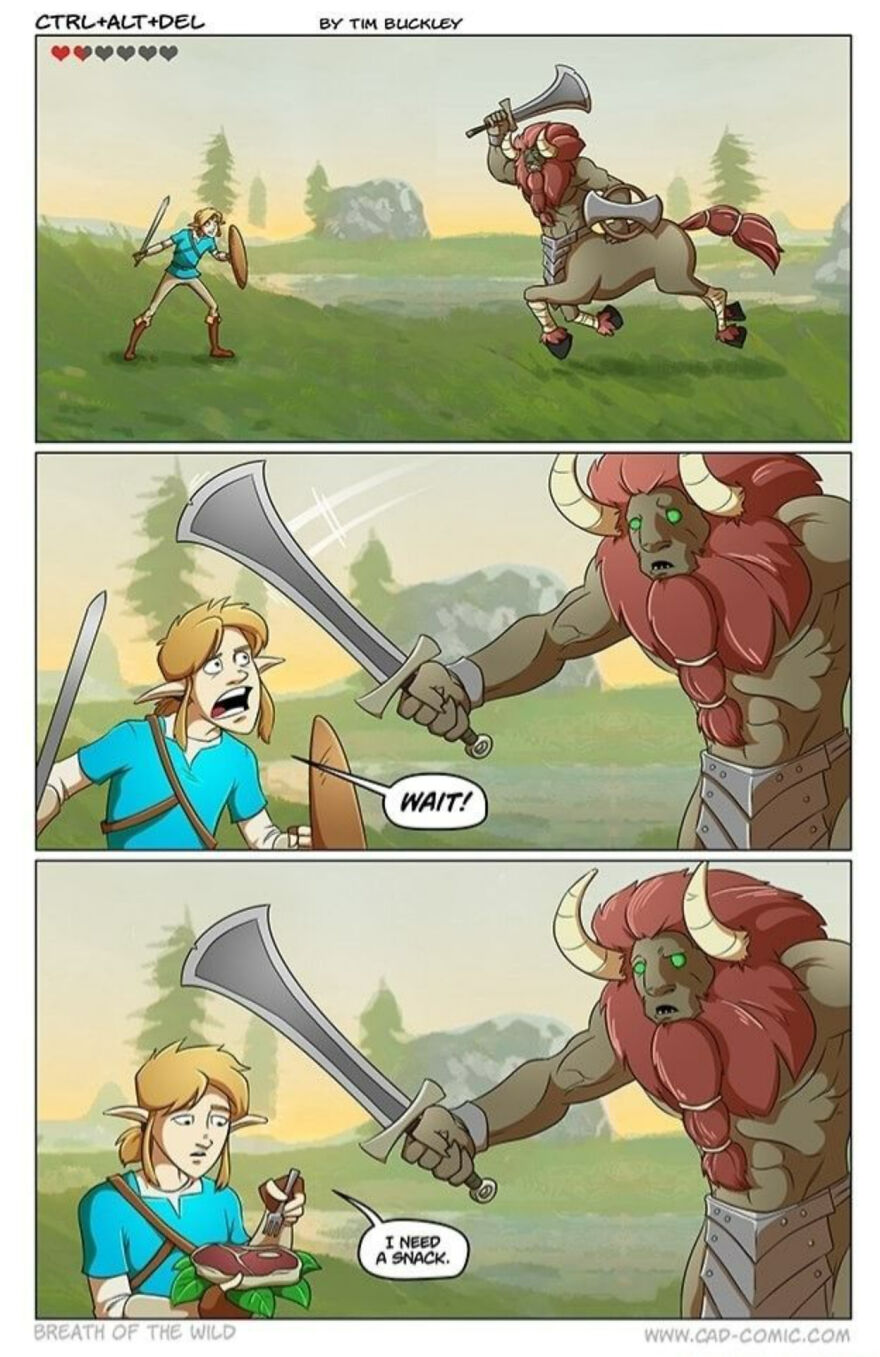 28 Breath Of The Wild Memes I Found On Google