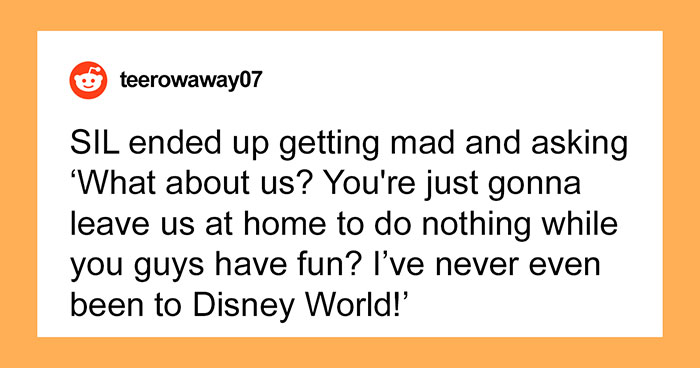 Kids’ Mom Is Angry After Their Aunt Invites Everyone To Disney World Except Her And Husband