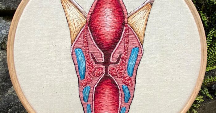 Here Are My New Human And Animal Anatomy Embroideries