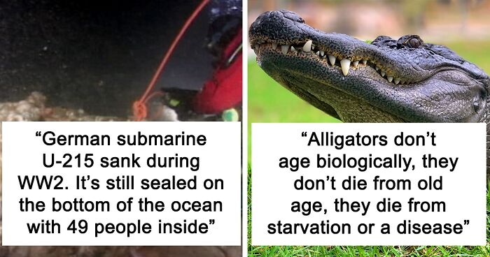 People Are Sharing The Most Random Fun Facts They Know, And Here Are 83 Of The Most Interesting Ones