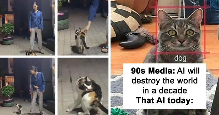 “Only A Dog Would Take Anything Posted Here As Fact”: 67 Memes From This Twitter Account Dedicated To Cats (New Pics)