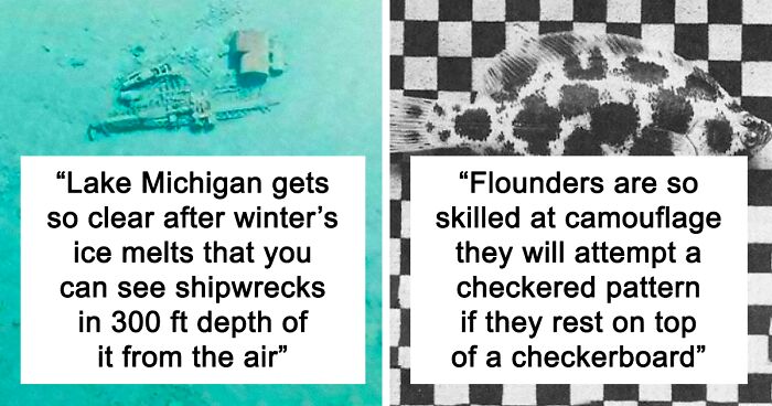 This Instagram Page Collects Little-Known Facts About Science And Pretty Much Everything Else, And Here Are 66 Of The Most Interesting Ones