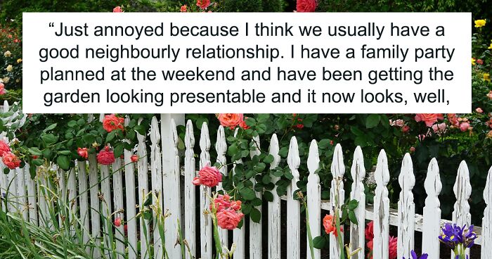 Person Says Their Side Of The Fence Looks Awful After Neighbor Painted Only Theirs