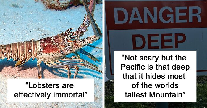 23 Interesting, Bizarre And Even Creepy Facts About The Ocean People In This Online Group Let Others Know