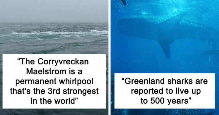 23 Fascinating, Weird Or Even Scary Facts About The Ocean People In This Online Group Decided To Share