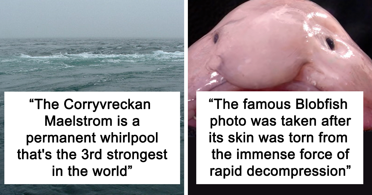 10 Weird & Amazing Things Found In The Ocean