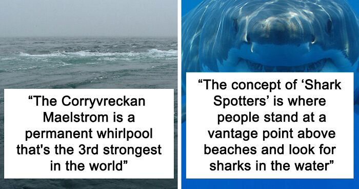 23 Fascinating, Weird Or Even Scary Facts About The Ocean People In This Online Group Decided To Share