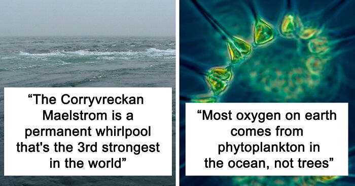 Folks Are Sharing Their Favorite Ocean Facts In This Thread And Here Are 23 Of The Most Surprising Ones